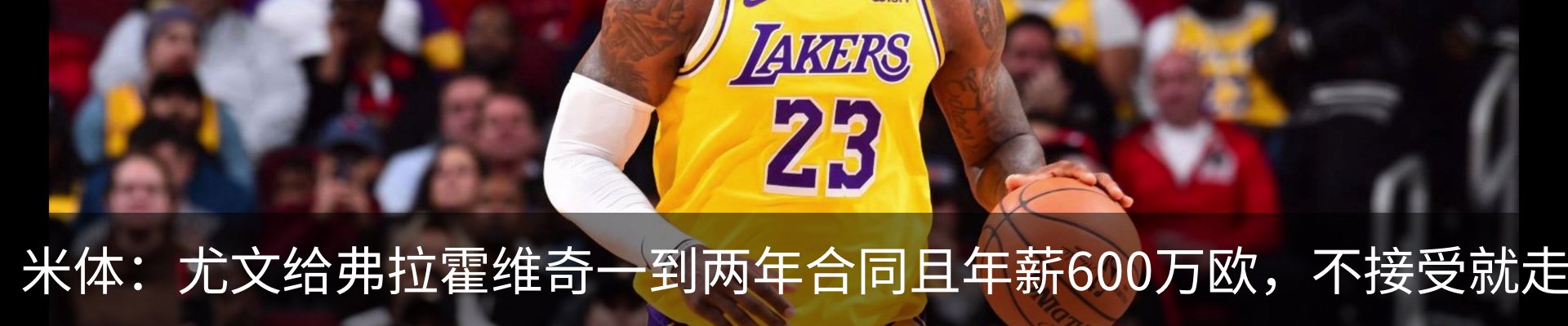 最新动态
